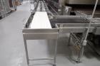 Babbco Direct Fired Tunnel Oven